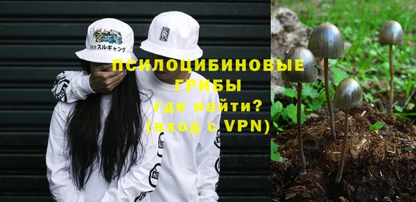 МДМА Ельня